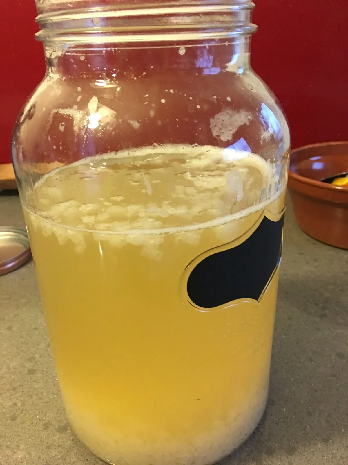 Kefir 2 - copie