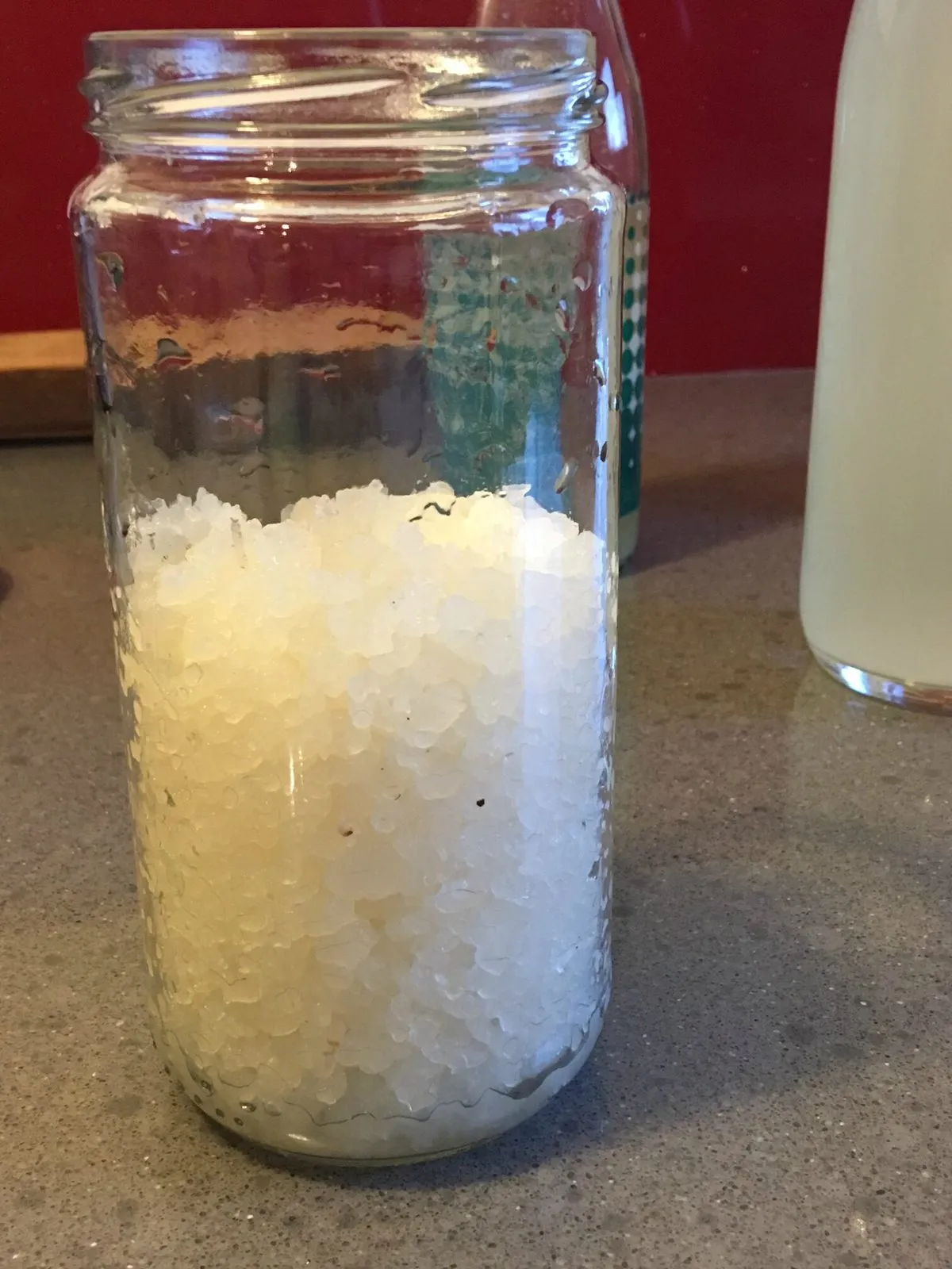 Kefir 3 - copie